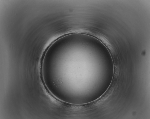 X0000094771046200711241312