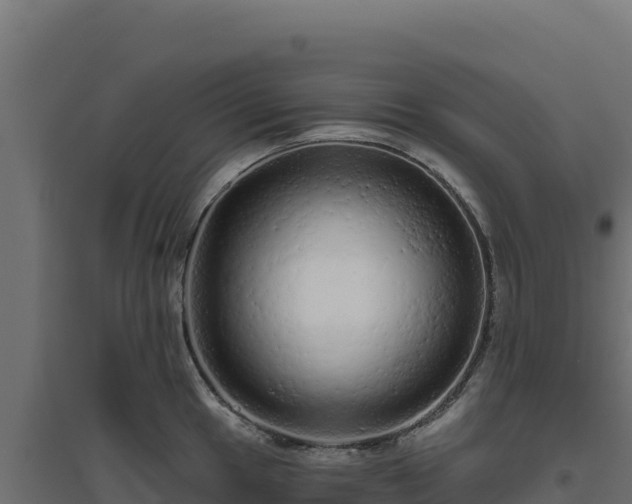 X0000094771049200711241312