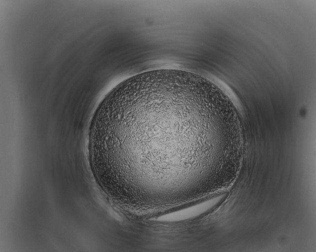 X0000094771051200711241313