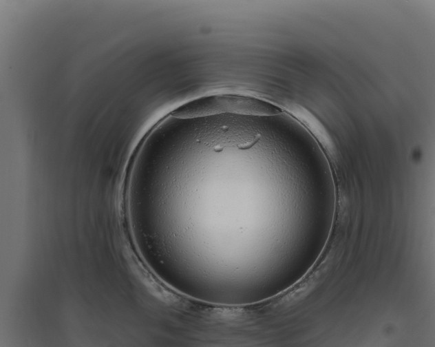 X0000094771052200711241313