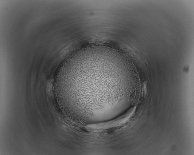 X0000094771059200711241312