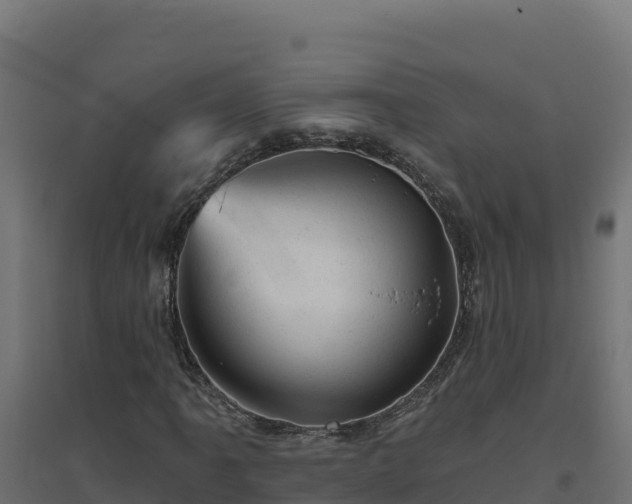 X0000094771061200711241312