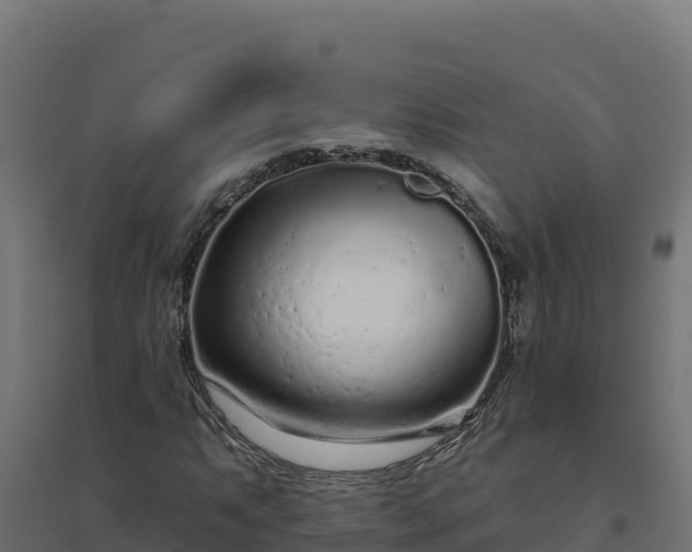 X0000094771063200711241312