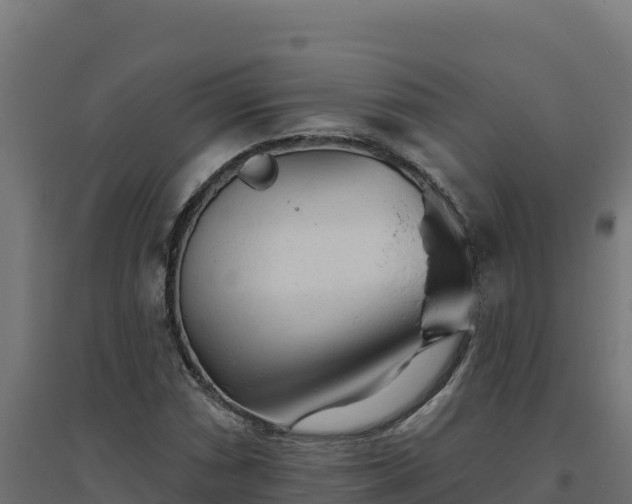 X0000094771066200711241312