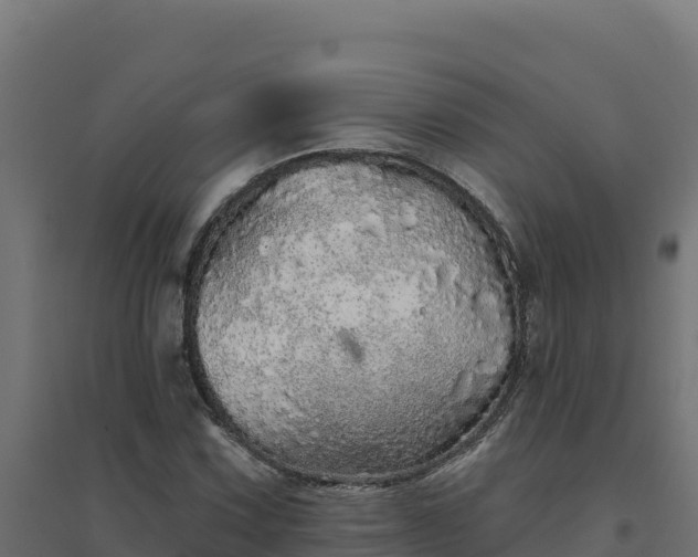 X0000094771067200711241312