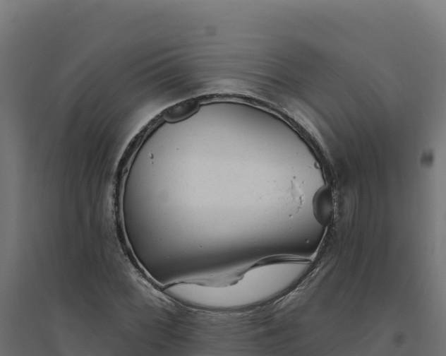 X0000094771068200711241312