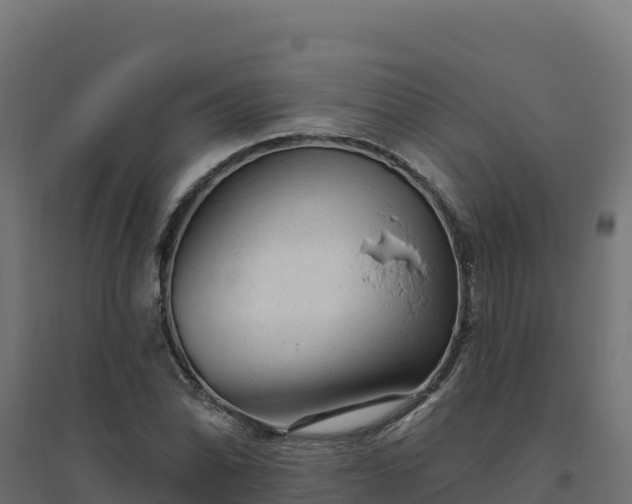 X0000094771070200711241312