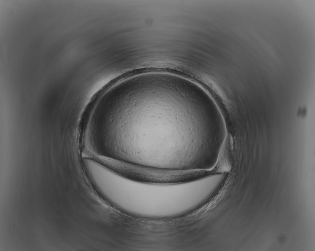 X0000094771071200711241312