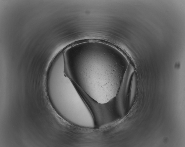 X0000094771072200711241312