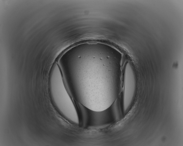 X0000094771073200711241312