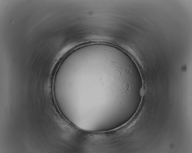 X0000094771074200711241312