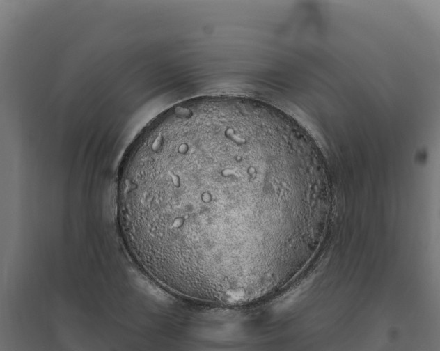 X0000094771075200711241312