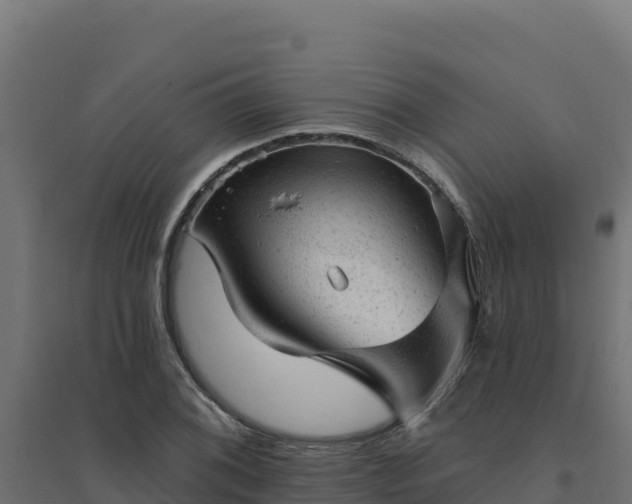 X0000094771076200711241312