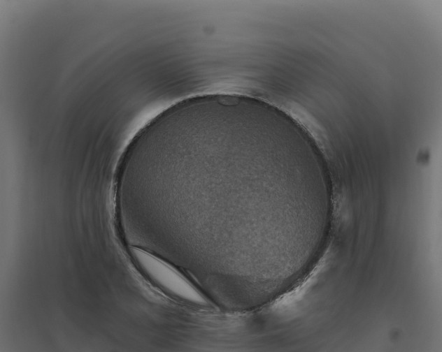 X0000094771077200711241312