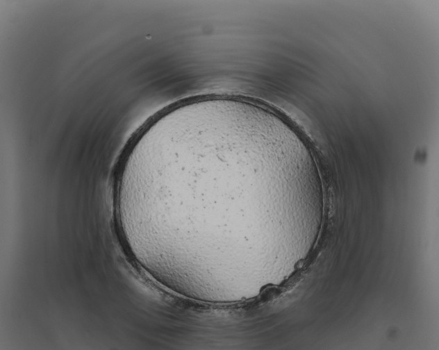 X0000094771078200711241312