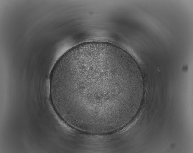 X0000094771079200711241312