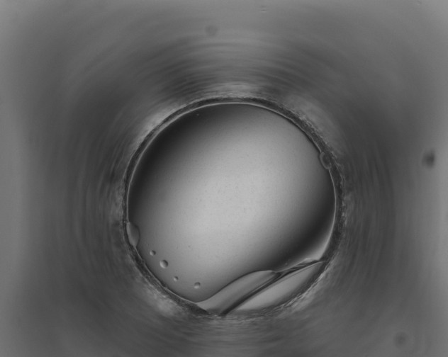 X0000094771081200711241312