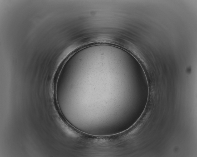 X0000094771082200711241312