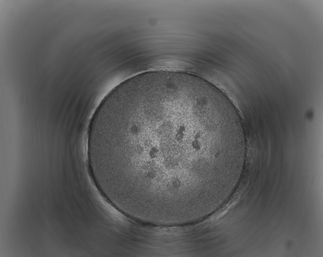 X0000094771083200711241312