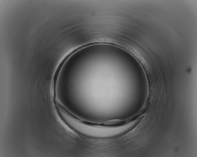 X0000094771084200711241312