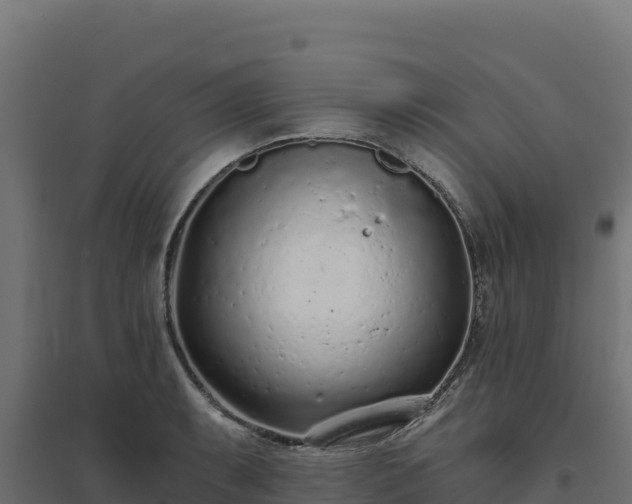 X0000094771087200711241312