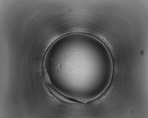 X0000094771089200711241311