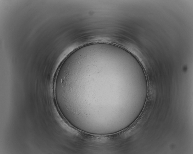 X0000094771090200711241311