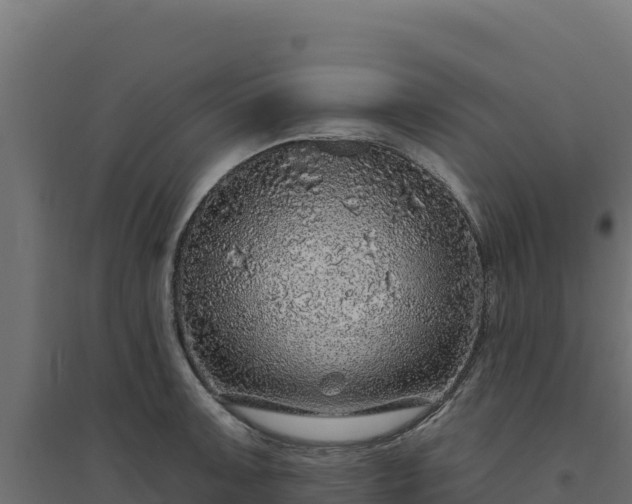 X0000094771091200711241311