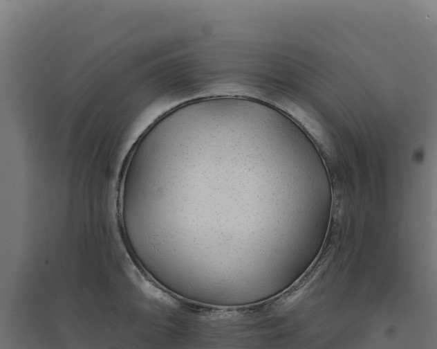 X0000094771094200711241311