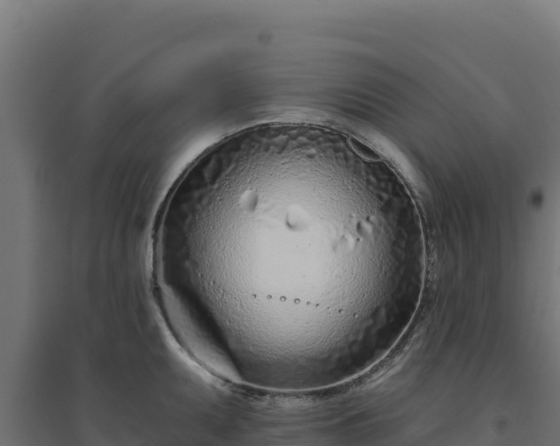 X0000094771095200711241311