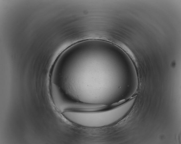 X0000094771096200711241311