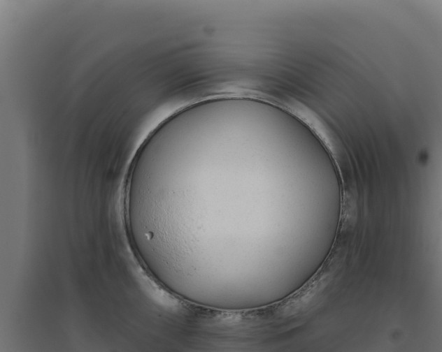 X0000094771098200711241311