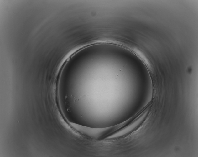 X0000094771100200711241311