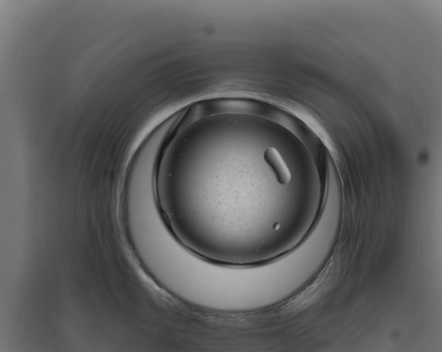 X0000094771101200711241311