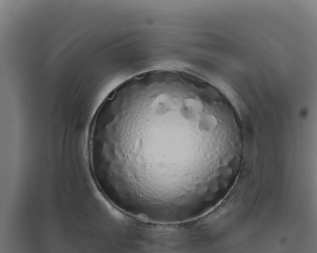 X0000094771103200711241311