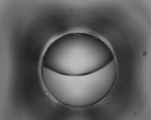 X0000094771104200711241311