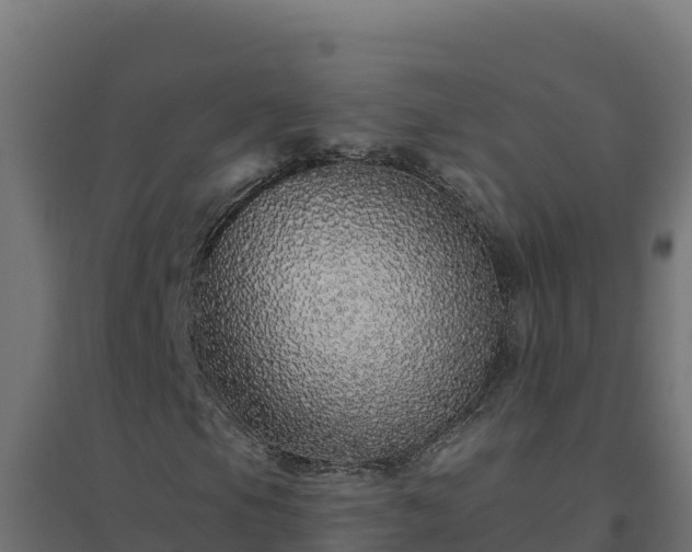 X0000094771105200711241311