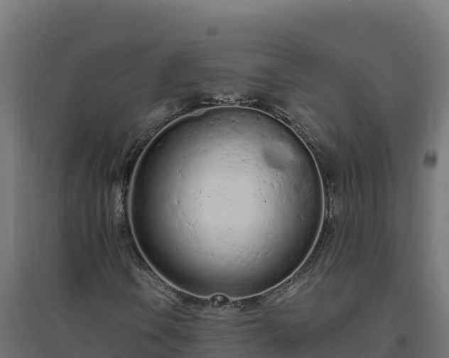 X0000094771106200711241311