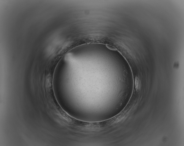 X0000094771107200711241311