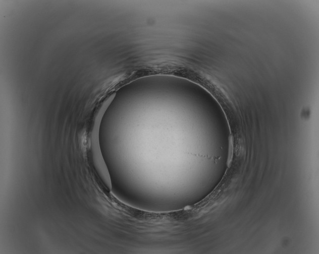 X0000094771108200711241311