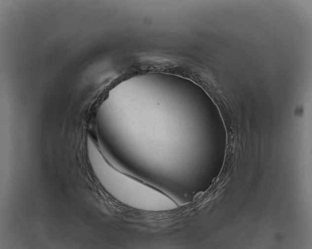 X0000094771109200711241311