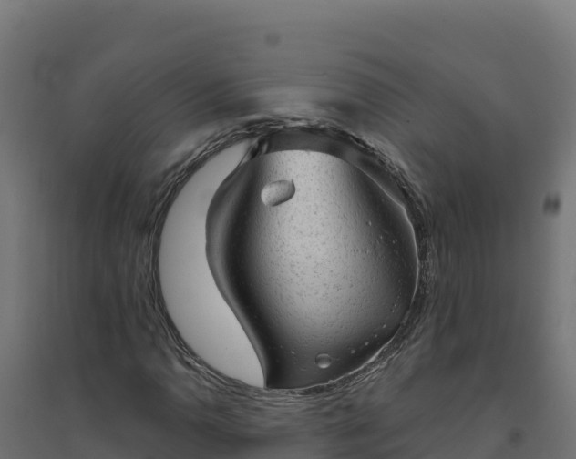 X0000094771110200711241311