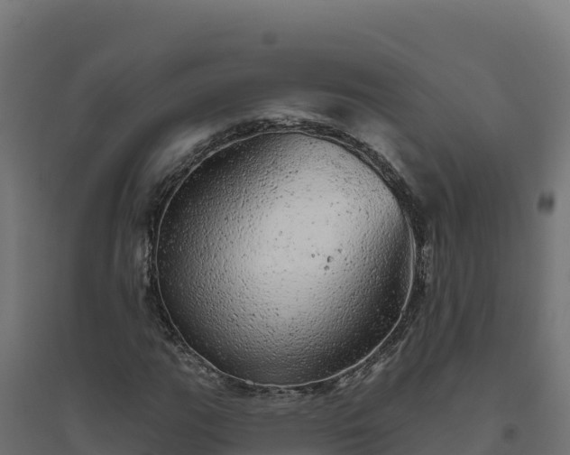 X0000094771111200711241311