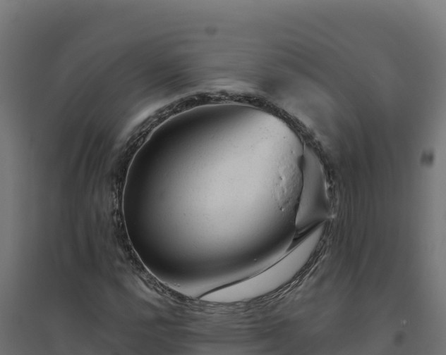 X0000094771112200711241311