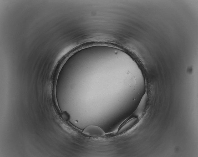 X0000094771114200711241311