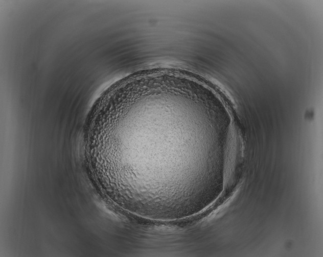 X0000094771117200711241311