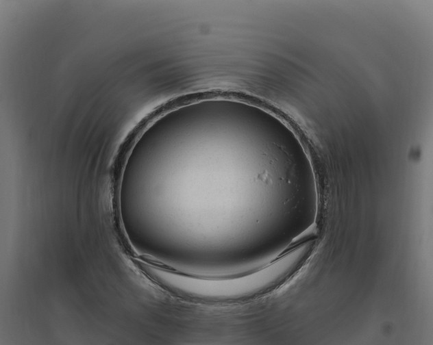 X0000094771118200711241311