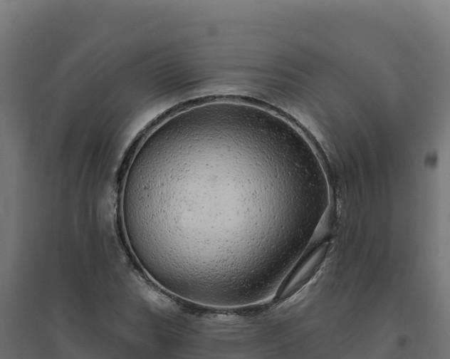 X0000094771119200711241311