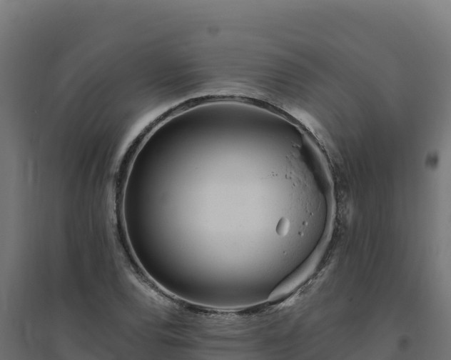 X0000094771120200711241311