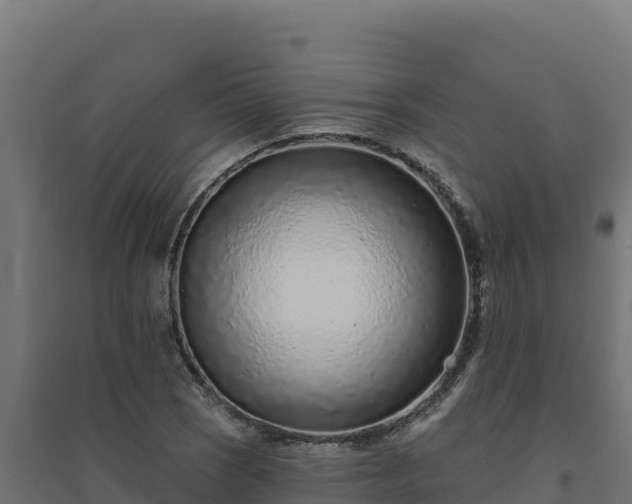 X0000094771121200711241311